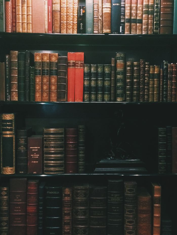 A classic bookshelf filled with vintage leather-bound books in a cozy, dimly lit room.
